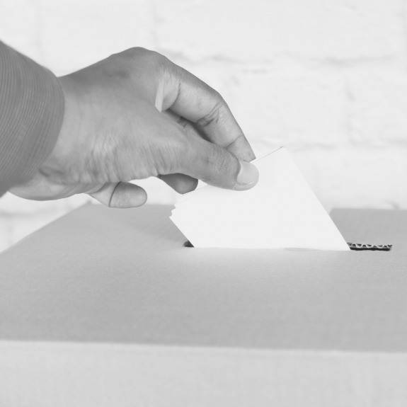 consejo_votacion_web