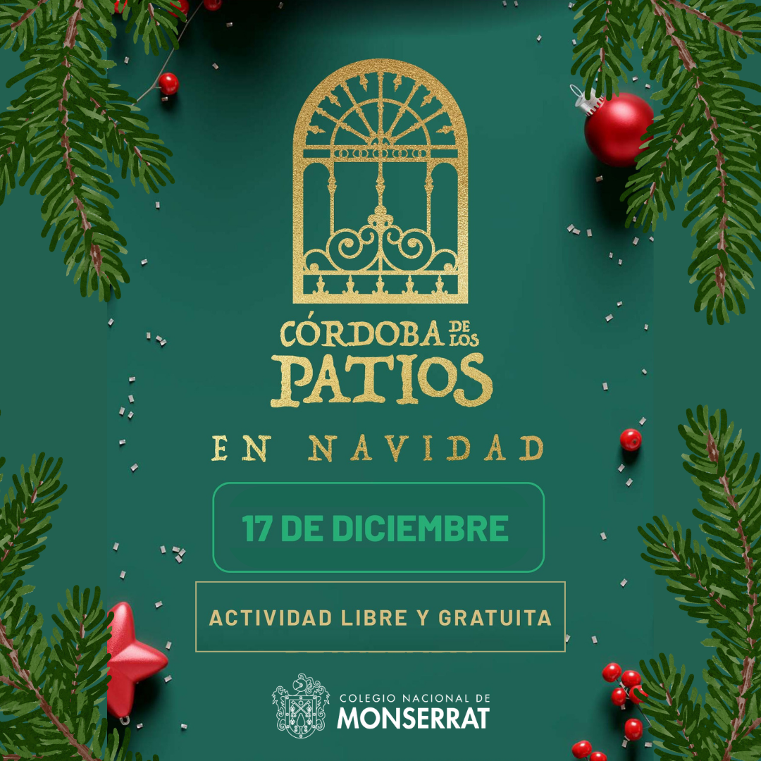 patios sin horari